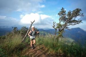 BIB: 
                            <button type="button" onclick="openModal(22373695)" class="btn btn-primary btn-sm float-right btn-popup" data-toggle="modal" data-target=".modal-high-quality">
                        <i class="fas fa-shopping-cart"></i> Add to Cart
                    </button>
                                            <button type="button" onclick="isThisMe(22373695, true)" class="btn btn-success btn-sm float-right btn-popup btn-isme hidden" data-toggle="tooltip" data-placement="bottom" title="นี่คือรูปของคุณใช่ไหม คลิกที่นี่เพื่อเอาเข้าอัลบั้ม">
                        <i class="fas fa-plus"></i> Add to album
                    </button>
                    <button type="button" onclick="isThisMe(22373695, false)" class="btn btn-warning btn-sm float-right btn-popup btn-isnotme hidden">
                        <i class="fas fa-ban"></i> Remove from album
                    </button>